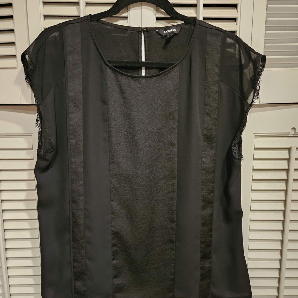 Express Black Sheer Stripe Blouse